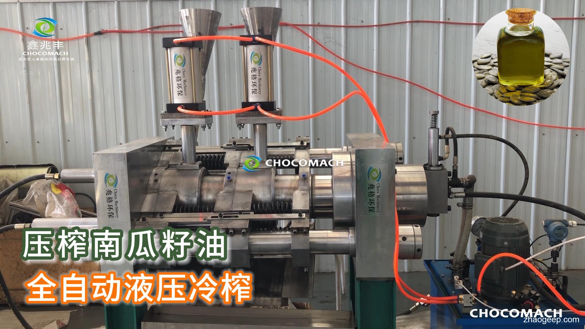鑫兆豐YZW全自動(dòng)顆粒榨機(jī)_南瓜籽榨油機(jī)_壓榨南瓜籽