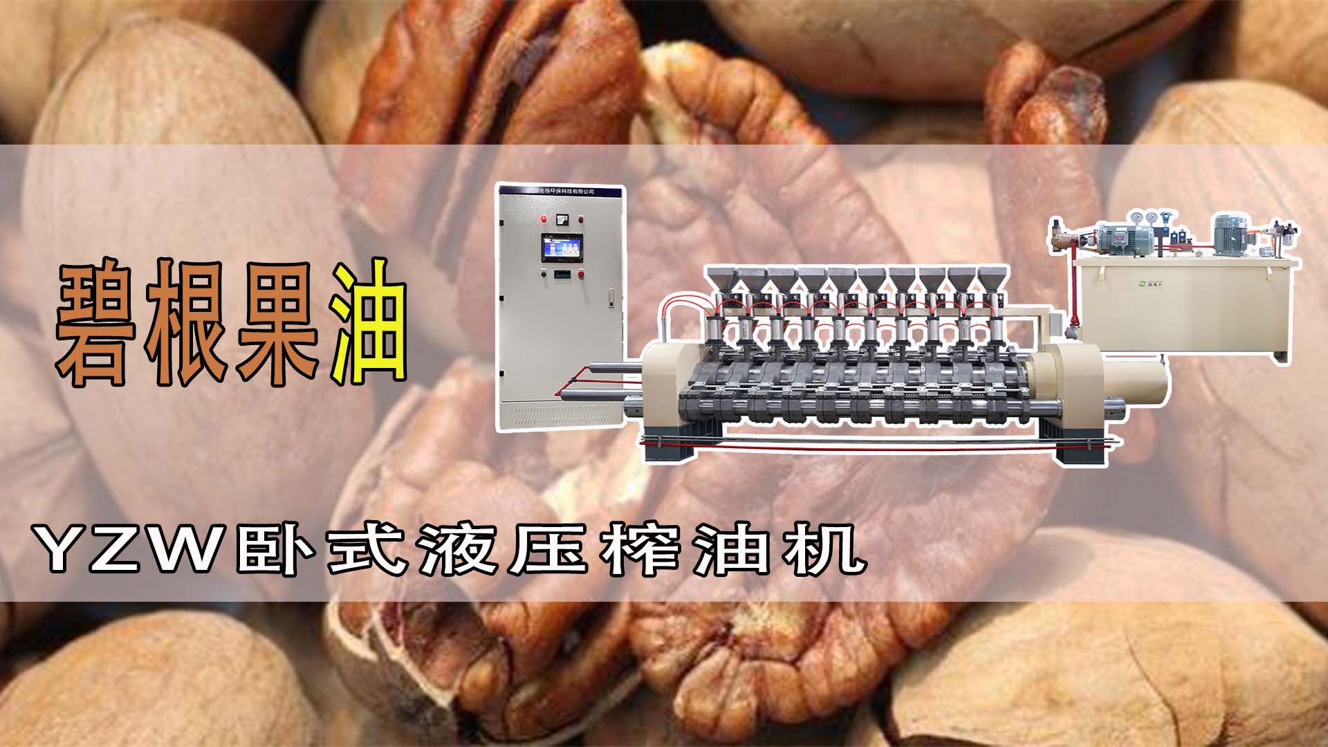 臥式液壓榨油機(jī)YZW制取碧根果油